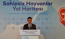 Ekrem İmamoğlu: Kısırlaştırma, aşılama ve barınma imkânlarını geliştireceğiz