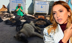 Hadise'den hayvan katliamına sert tepki