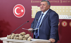 Ömer Fethi Gürer'den patates açıklaması!