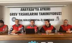 Grev yasağına tepki: "Kararlıyız, grevimiz sürecek"