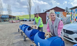 "Köpek velisi" Buket Özgünlü ve 8 şüpheli hakkında yeni gelişme: 3 kişi tutuklandı