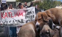 Hacettepe'den 'Katliam Yasası' Protestosu
