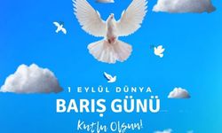 Barışta buluşmak l Mehmet Gıyas Azeritürk yazdı...