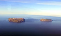 Herkes Mersine, Türkiye tersine l İsmet Orhan yazdı...