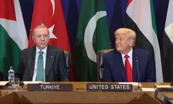 Trump, Erdoğan'dan zengin maden yataklarının bulunduğu toprakları isteyecek! l Yılmaz Dikbaş yazdı...