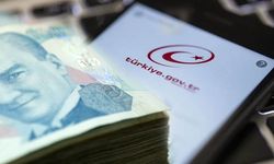 e-Devlet’i kontrol edin: Unutulan paranız PTT'de