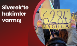 Siverek'te hakimler varmış l Orhan Şahin yazdı...