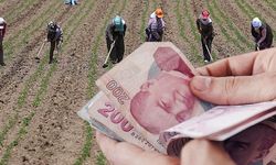 Çiftçiye destek müjdesi: 471 milyon lira ödendi