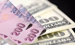 Dolar Neden Düşecek? Ünlü CEO Yüzde Verdi