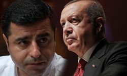 Erdoğan'dan Demirtaş kararı hakkında açıklama