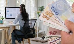Evden çalışanlara emsal olacak vergi kararı