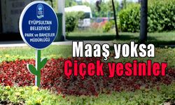 Maaş yoksa çiçek yesinler l Şenol Demirci yazdı...