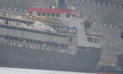 Uruguay’dan getirilen inekler gemide aç ve susuz bırakıldı: 48 inek öldü, kriz devam ediyor