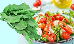 Ekşi ot kuzu kulağı ve inanılmaz faydaları