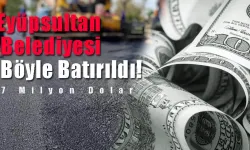 Eyüpsultan Böyle Batırıldı (2) - 7 Milyon Dolarlık Kayıp Asfalt? l Şenol Demirci yazdı...