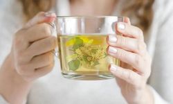 Kışın en sıcak dostu: Ihlamur ve mucizeleri