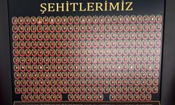 EMŞAD l İsmet Orhan yazdı...