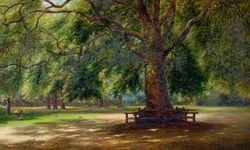 Yasef Yerusalim yazdı | Ege’de budak temizliği vakti