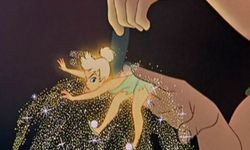 Tinkerbell Sendromu: İlgiyle Yaşayanların Dünyası