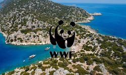 Limanağzı’nda Koruma Gündemi: Süreçler Tartışma Yarattı