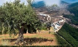 Muğla’nın Doğasına Maden Kıskacı: 30 Yeni Projeye Onay Çıktı