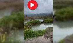 Kumluova’da sel: 80 ton ürün heba oldu