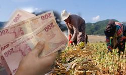 94,3 Milyon Liralık Tarımsal Destek Bugün Ödeniyor