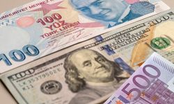 Merkez Bankası faiz kararı: Şubatta mola verildi