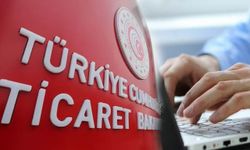 Teminat Bilgi Sistemi e-Devlet’te: Kolaylıkla Ulaşın!