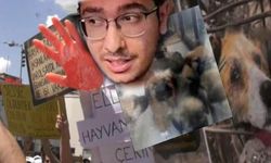 Hayvanlara İşkence Davasında Ceza İndirimi Tepki Çekti