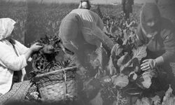 8 Mart Dünya Kadınlar Günü eşitlik mücadelesinin simgesi