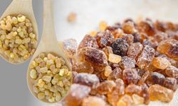 Akgülen sakızı: Yakılır mı, çiğnenir mi?