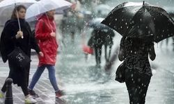 Mayıs başında kış geri geliyor: Zirai don kapıda