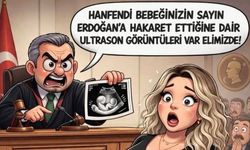 Rıza Zelyut yazdı | Sandıkla alamadığını yargıç tokmağıyla almak