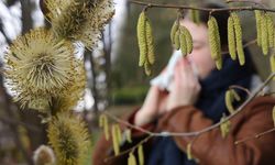 Polen alerjisine karşı basit önlemler