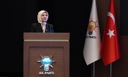 Bakan Mahinur Özdemir Göktaş'tan Tokat'a acil ödenek
