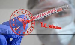 Gemideki hantavirüs paniğinde sonuçlar çıktı