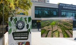 Hevsel'in dibine kimyasal atık: Dicle Üniversitesi'ne suç duyurusu