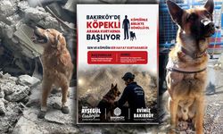 Başvurular açıldı: Köpeğiyle hayat kurtaracak gönüllüler aranıyor
