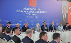 Bakan çiftçi Sokak hayvanları için tarih verildi: Yıl sonu bitiyor