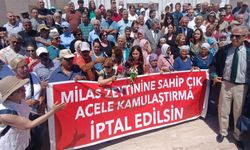 Akbelen savunucusu Esra Işık’ın davası ertelendi