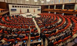 TBMM'den'çıplak arama'iddialarına yanıt