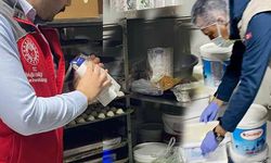 Muğla'da gıda denetimleri ceza yağdırdı