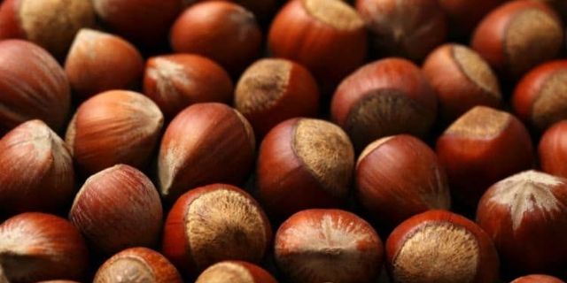 En düşük fındık fiyatı ne kadar oldu?
