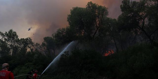Köyceğiz'de orman yangını