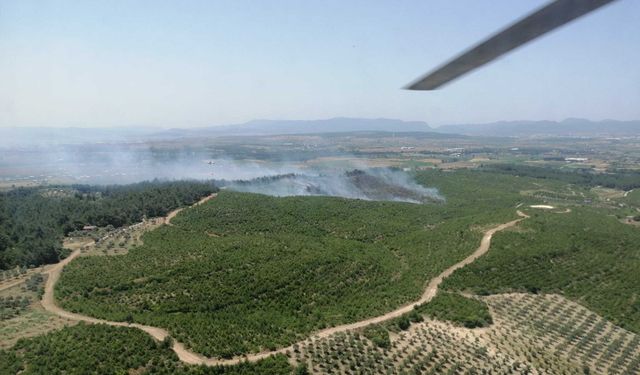 Buca'da orman yangını