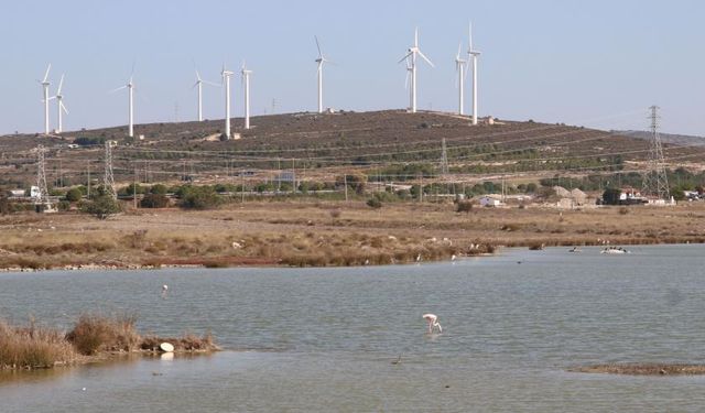 Danıştay'ın 'Çeşme Projesi' kararına tepki: Talanı durduracağız