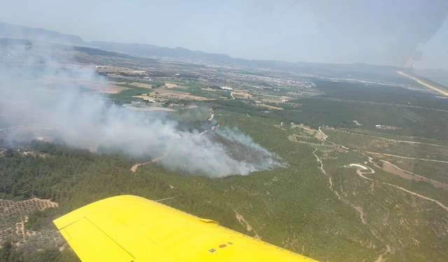 İzmir Buca'da orman yangını