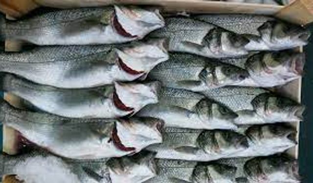 Fırında levrek nasıl yapılır?