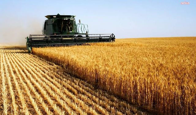 TÜİK verileri: Tarımsal girdi enflasyonunda artış sürüyor